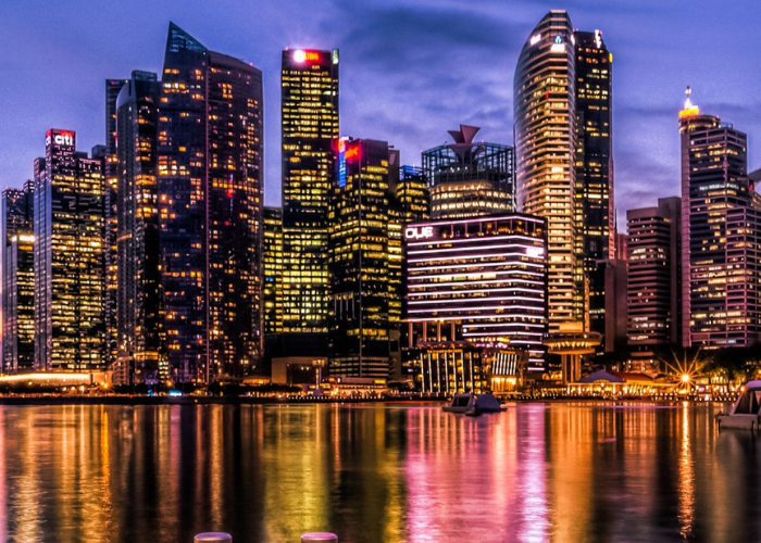 What Makes India a Distinct Market for Singapore Firms
